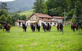 Agriturismo Carovane